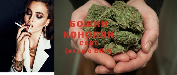 2c-b Осинники