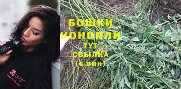 ECSTASY Осташков