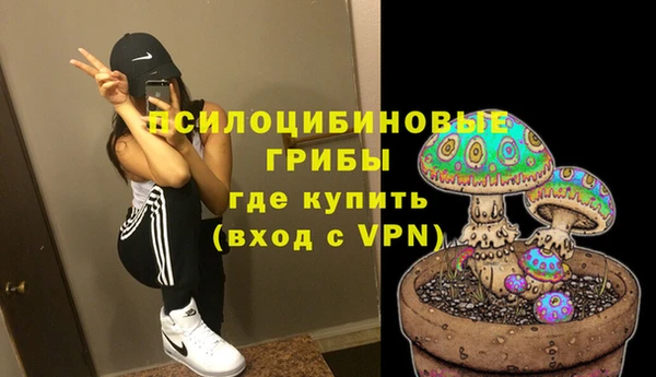 2c-b Осинники