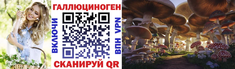 Псилоцибиновые грибы Psilocybine cubensis  где можно купить наркотик  Рославль 