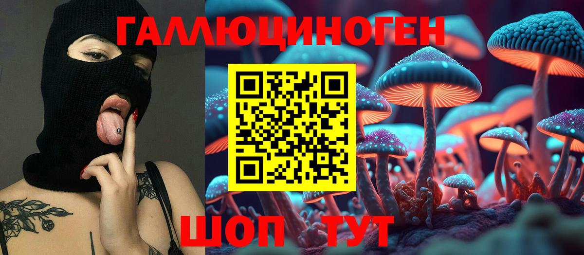 Псилоцибиновые грибы Psilocybine cubensis Рославль