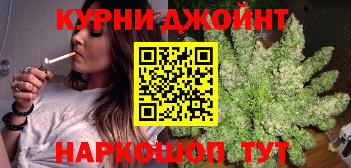 Бошки Шишки планчик Рославль